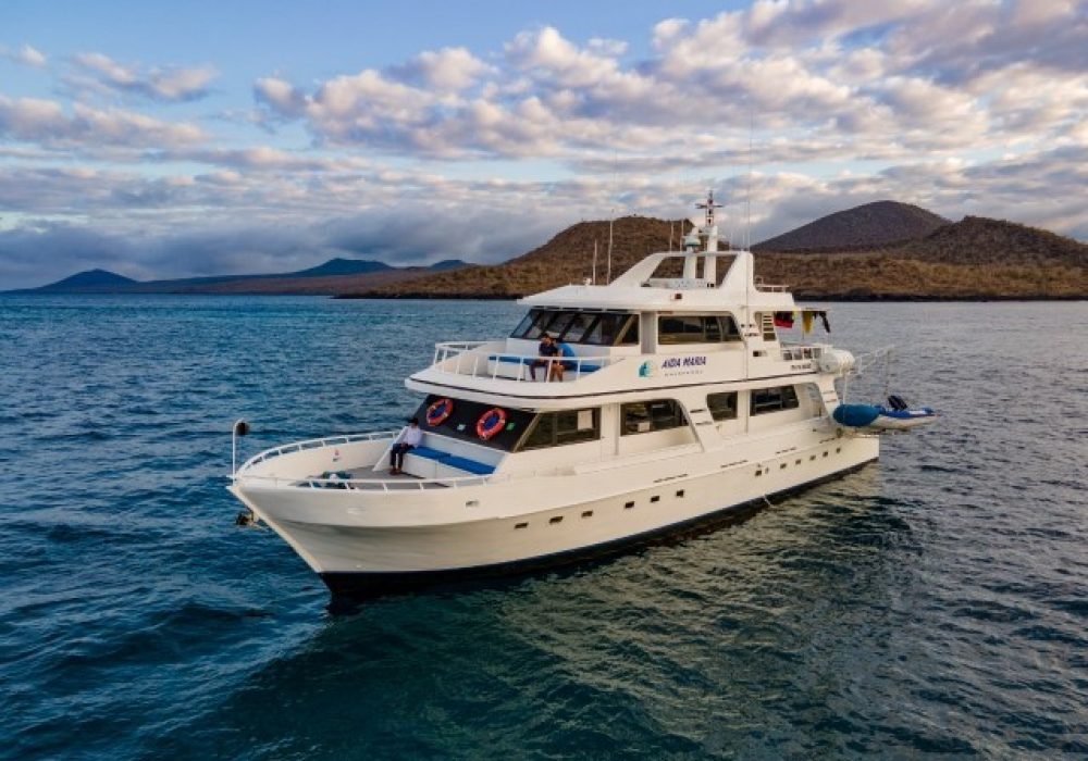 Aida María Yacht (19)